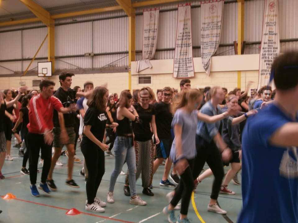 OLYMPUS DIGITAL CAMERA