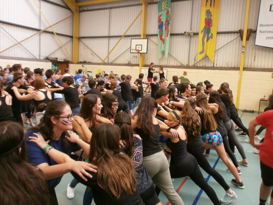 OLYMPUS DIGITAL CAMERA