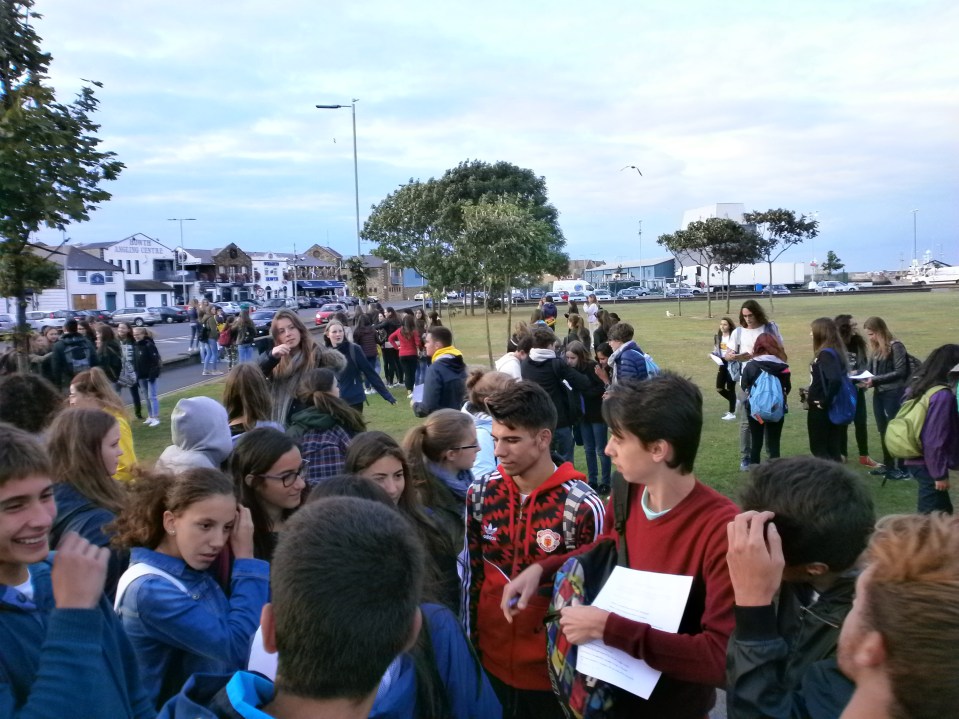 OLYMPUS DIGITAL CAMERA