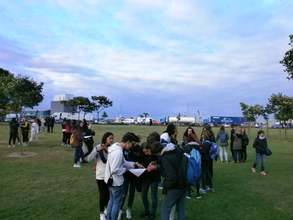 OLYMPUS DIGITAL CAMERA