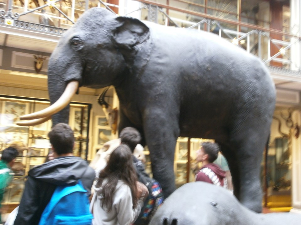 OLYMPUS DIGITAL CAMERA