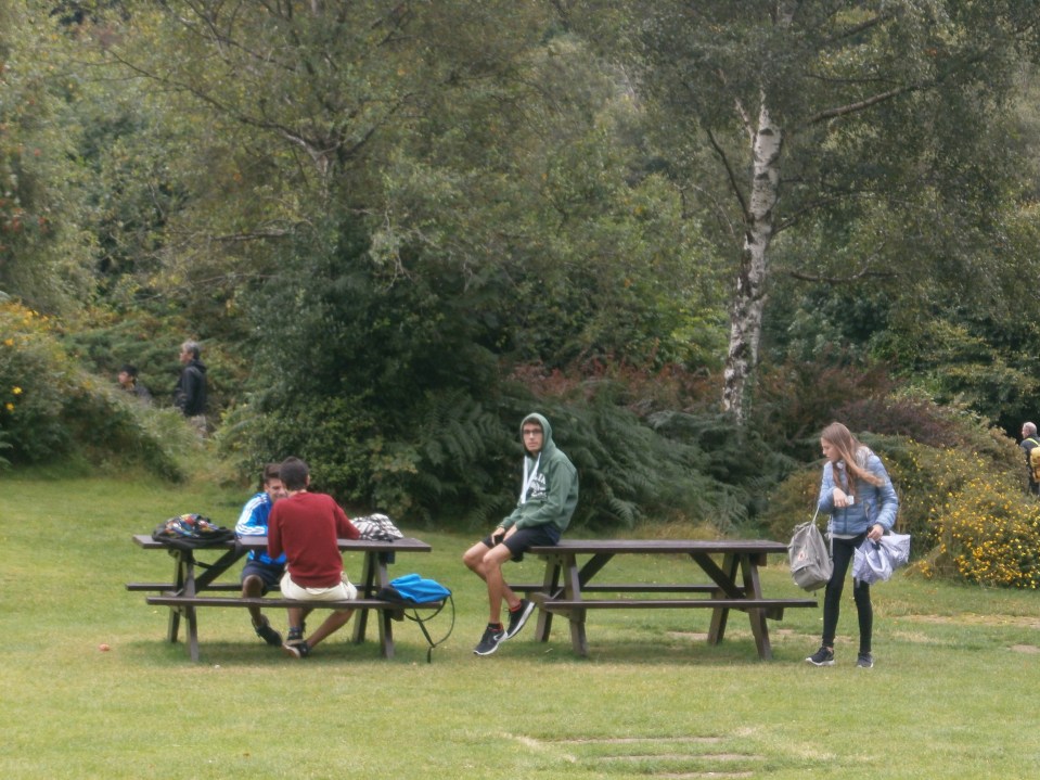 OLYMPUS DIGITAL CAMERA