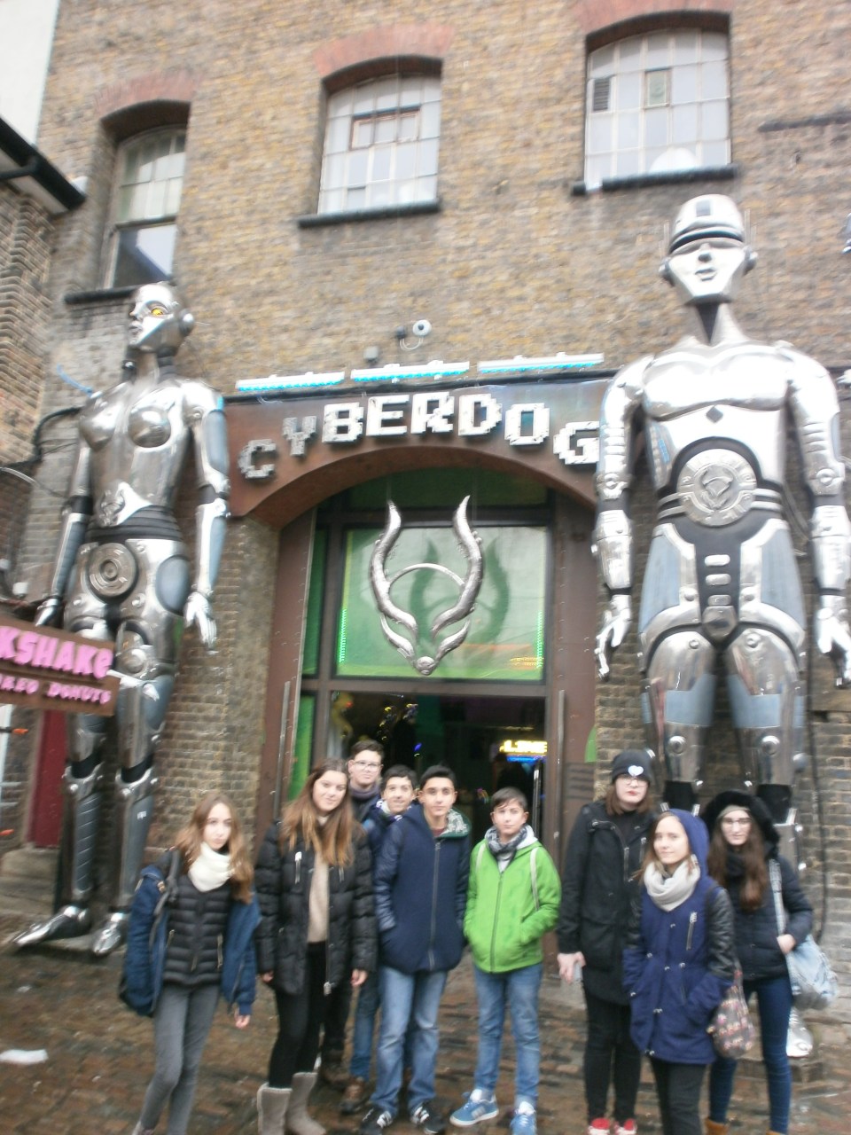 OLYMPUS DIGITAL CAMERA