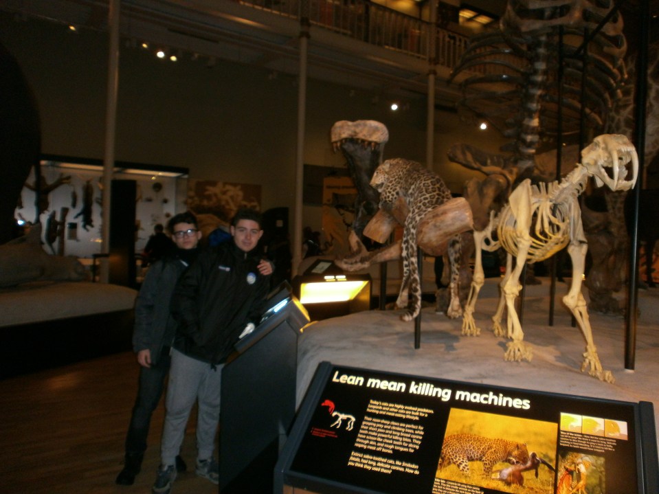 OLYMPUS DIGITAL CAMERA