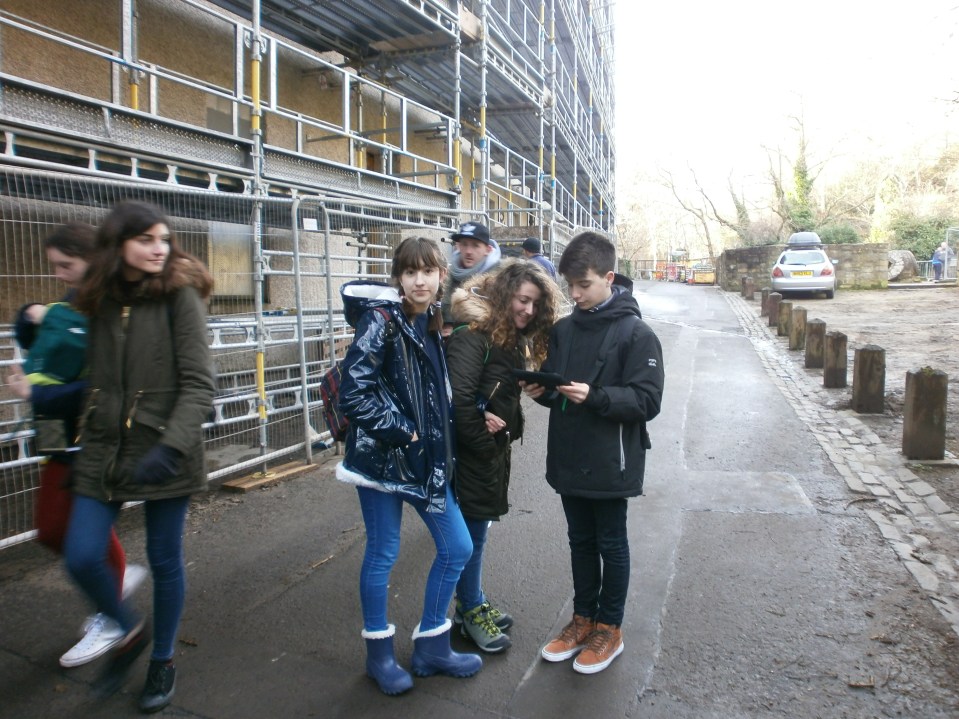 OLYMPUS DIGITAL CAMERA