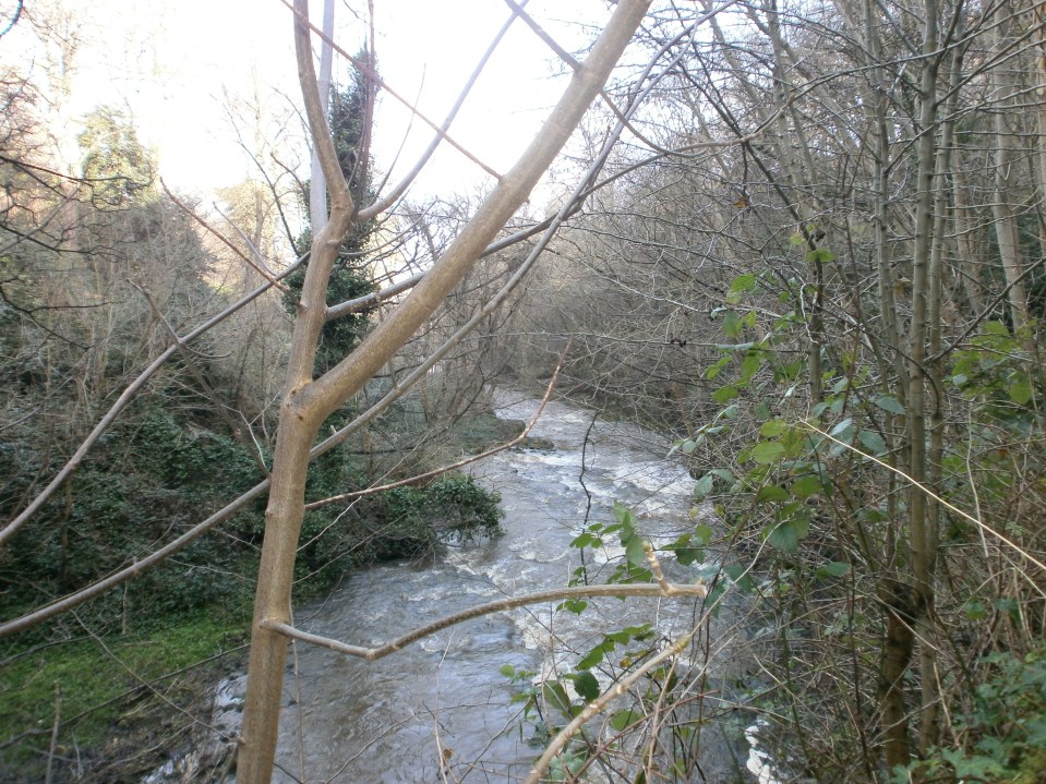 OLYMPUS DIGITAL CAMERA