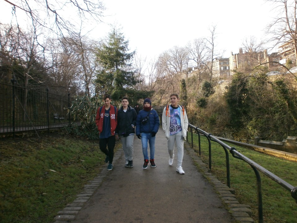 OLYMPUS DIGITAL CAMERA