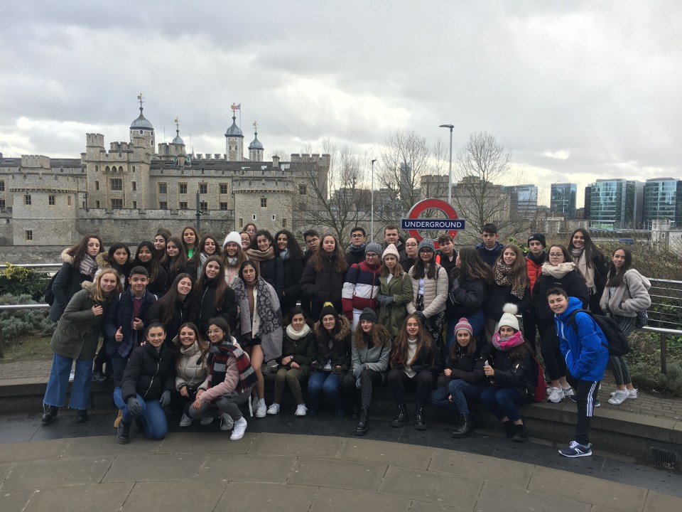 25CDAAC9-D7AB-47D3-9C51-7AD7714A8A32